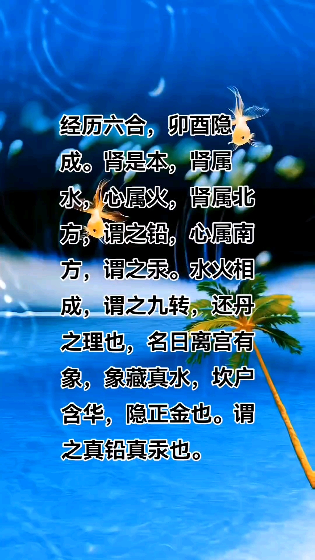 修生荞性的简单介绍